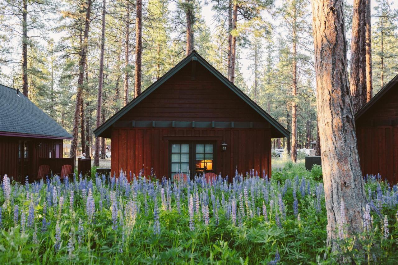 Fivepine Lodge Sisters Exteriér fotografie