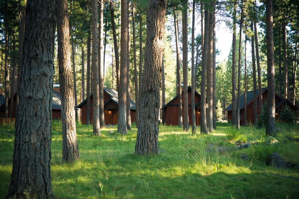 Fivepine Lodge Sisters Exteriér fotografie